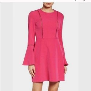 Beautiful, long bell sleeve pink dress